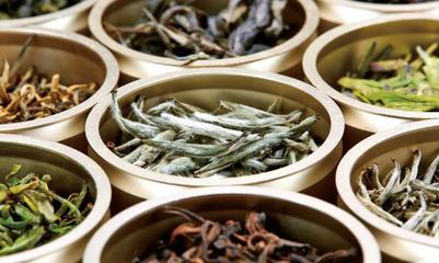 杜国楹:小罐茶成为国民品牌的背后是中国茶的自我改革